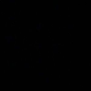 Meet your Posher, Assata